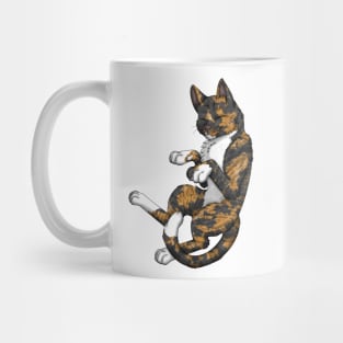 Tortie-Tabby Shorthair Mug